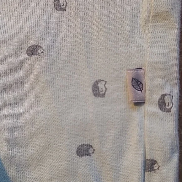2/$5 Light Mint Footed Baby One-Piece with Footies Featuring Hedgehogs - Picture 4 of 6